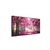 Quadro Ipê Rosa Pintura na internet