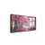 Imagem do Quadro Ipê Rosa Pintura