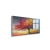 Quadro Arvore Da Vida Ii - comprar online