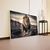 Quadro Leão Na Montanha Horizontal - comprar online