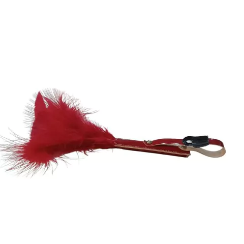 Pluma Love Roja - 25Cm