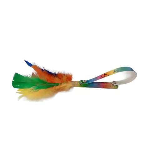 Pluma Lgbt - 25Cm