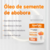 Óleo de Semente de Abóbora 1000mg 60 Cáps - ApisNutri na internet