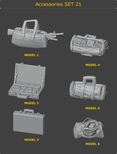 Accessories Set 21 - comprar online