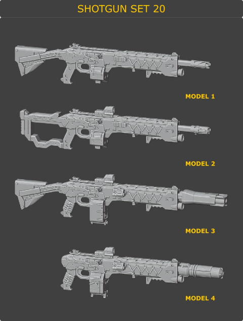 Shotguns Set 20