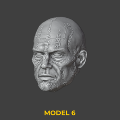 Heads Set 24
