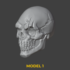 Heads Set 26 - comprar online