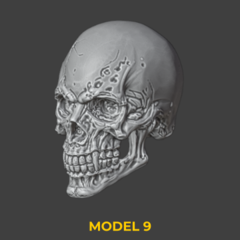 Heads Set 26 - 3DDios