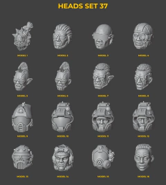 Heads Set 37