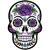 Placa Decorativa Parede Caveira Mexicana Mdf adesivado 20cm na internet