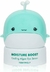 TONYMOLY® - Crema para Contorno de Ojos Anti-Edad de Algas - comprar en línea