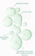 TONYMOLY® Vital Vita 12 Calming Ampoule, 3 oz. - Styla