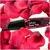 TONYMOLY® Pack Tintas Para Labios Delight - Styla