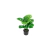 NEYTRON SOLUCIONES® - Plantas Artificiales Decorativas: Costilla de Adan