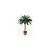 Nearly Natural® Árbol de Sago de Seda