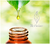 Aceite Esencial Bergamota Tea 15ml Herbolare® - comprar en línea