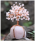Árbol de Piedras Preciosas Curativas de Feng Shui: Cuarzo Rosa en internet