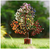 Árbol de Piedras Preciosas de Siete Chakras: Tronco café - Styla