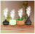 Difusor de Aceites Esenciales Redlemon®: Relax Light - tienda en línea