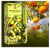 Conjunto de Incienso HEM® VIEX: Bergamota - Styla