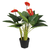 NEYTRON SOLUCIONES® - Plantas Artificiales Decorativas: Anthurium 70cm - comprar en línea