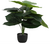 NEYTRON SOLUCIONES® - Plantas Artificiales Decorativas: Calla Lily 60cm - comprar en línea