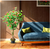 NEYTRON SOLUCIONES® - Plantas Artificiales Decorativas: Camelia Roja en internet