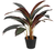 NEYTRON SOLUCIONES® - Plantas Artificiales Decorativas: Cordline 65cm - comprar en línea
