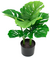 NEYTRON SOLUCIONES® - Plantas Artificiales Decorativas: Costilla de Adan - comprar en línea