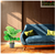 NEYTRON SOLUCIONES® - Plantas Artificiales Decorativas: Costilla de Adan en internet