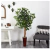 Nearly Natural® Árbol Ficus de 5.5 Pies con Maceta de Bambú en internet