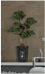 Nearly Natural® 4100 Árbol Bonsai Decorativo de Seda Cedar en internet