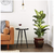 Imagen de Nearly Natural® Maceta Decorativa Dieffenbachia Dorado