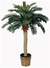 Nearly Natural® Árbol de Sago de Seda - comprar en línea