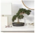 Nearly Natural® Bonsái Decorativo de Seda Cedar - tienda en línea