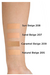 L'Oréal Paris® Base de Maquillaje Infallible Pro Glow 30ml Natural Beige 205 - tienda en línea