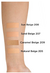 L'Oréal Paris® Base de Maquillaje Infallible Pro Glow 30ml Natural Beige 207 Sand Beige - tienda en línea
