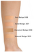 L'Oréal Paris® Base de Maquillaje Infallible Pro Glow 30ml Natural Beige 208 Sun Beige - tienda en línea