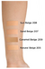 Imagen de L'Oréal Paris® Base de Maquillaje Infallible Pro Glow 30ml Natural Beige 209 Caramel Beige