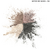Imagen de COVERGIRL® Eye Shadow Quads Notice Me Nudes - Crea Looks Personalizados y Deslumbrantes