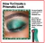 Revlon® So Fierce Prisma Quad: Tu Paleta de Sombras Ultra Delgada That's A Dub - Styla