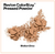 Polvo Compacto Revlon® Colorstay - 8.4 g Medium Deep - Styla