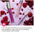 Brillo Labial Goddess Gloss de Almay® - Tono Fairy, 0.9 oz - Styla