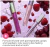 Brillo Labial Goddess Gloss de Almay® - Tono Fairy, 0.9 oz - Styla