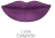Palladio® Labial Cremoso Velvet Matte: Elegancia Mate con Fórmula Hidratante Damask - Styla
