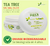 NaturalDry® Desodorante para Pies 100% Natural con Aceite Esencial de Tea Tree | Sin Talco, Parabenos ni Aluminio | Elimina el Mal Olor | Ideal para Flats y Ejercicio | 70 g - tienda en línea