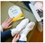 Aveeno® Máscara de Pie para Reparación CICA con Avena Prebiótica y Manteca de Karité - 2 Zapatillas de Uso Único - Styla