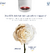 Shampoo Dove® Hair Therapy Damage Solutions Intensive Repair 250 ml - Pack de 3 por Dove