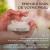 Imagen de Elizabeth Arden® Visible Difference Refining Crema de Hidratación Complejo