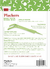 Plackers® Back Teeth Micro Mint Dental Floss Picks - 75 unidades (Paquete de 1) en internet
